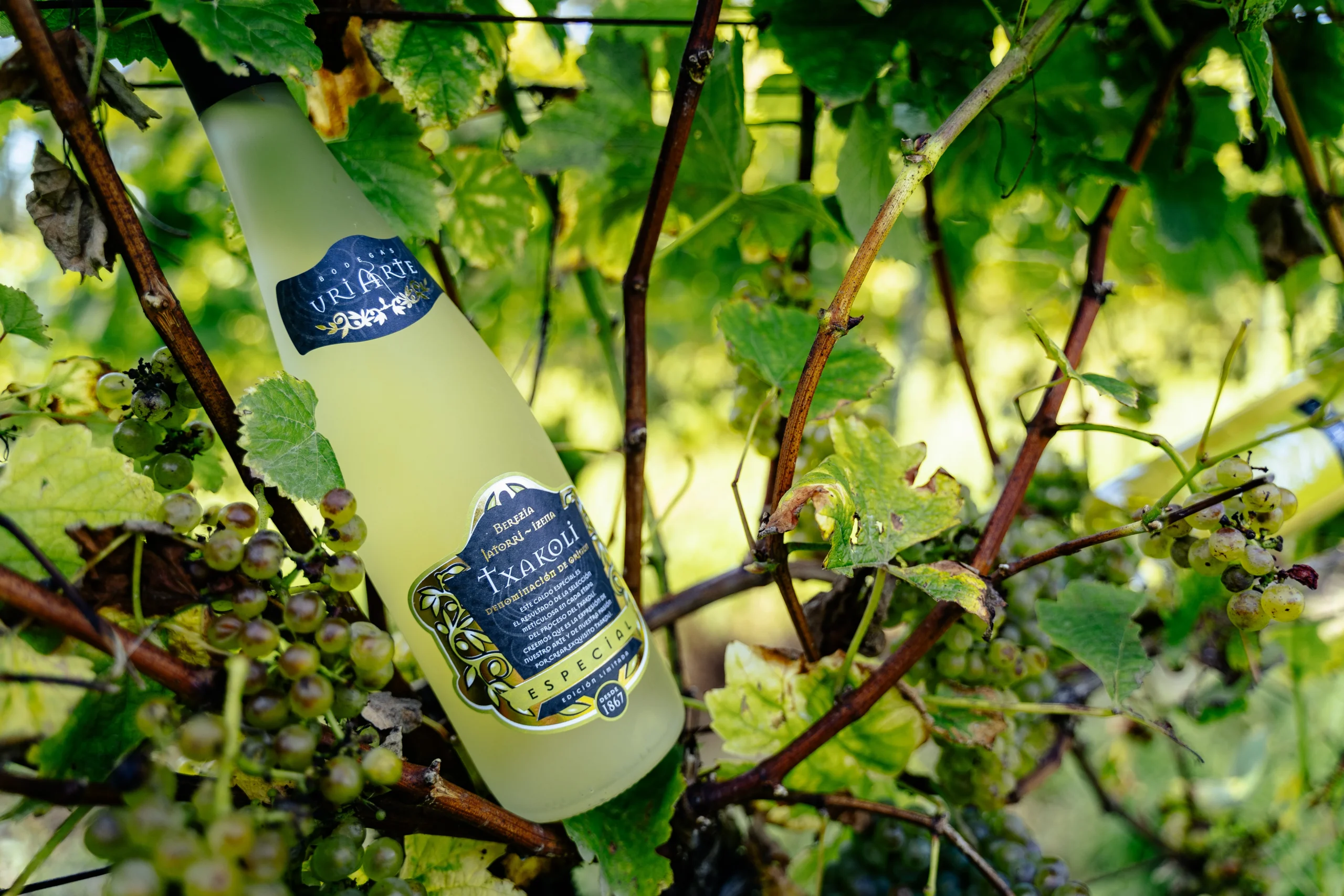 Botella de txakoli con calidad y carácter atlántico de Bizkaia
